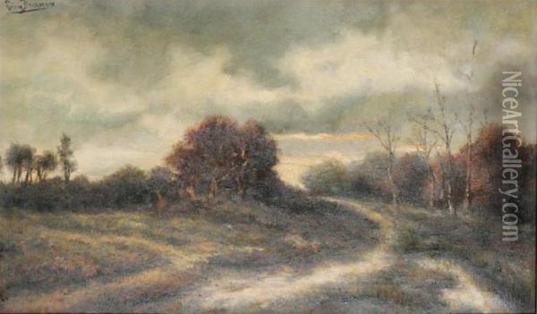 Moorland Oil Painting - Leon Meuter De Brunin