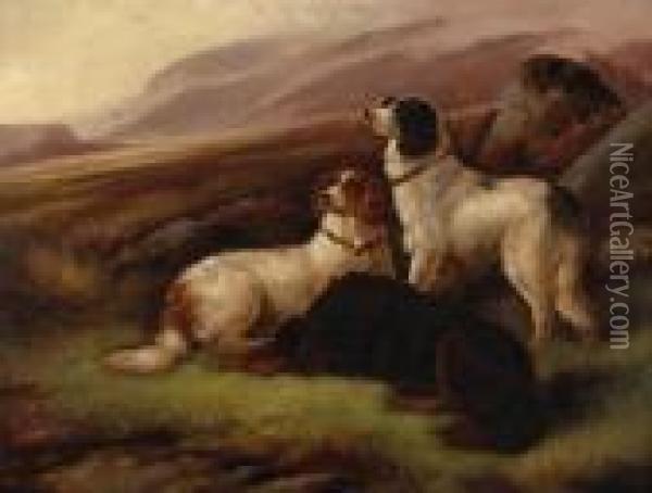 Three Setters In The Field Oil Painting - Robert Cleminson