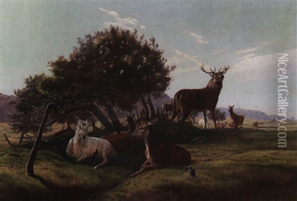 Stag And Does In A Landscape Oil Painting - Simon Simonsen