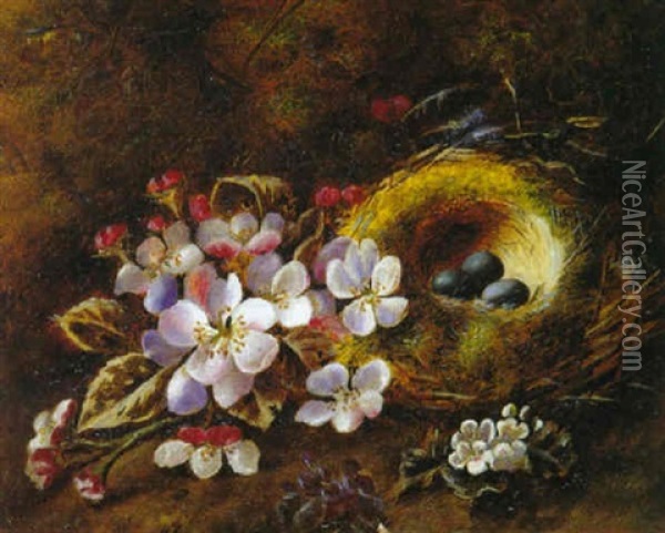 Bodegon Con Nido Y Flores Oil Painting - George Clare
