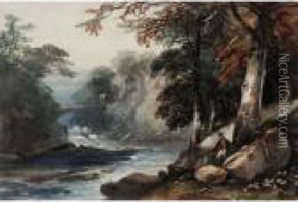 River Running Through Woodland Oil Painting - John Middleton
