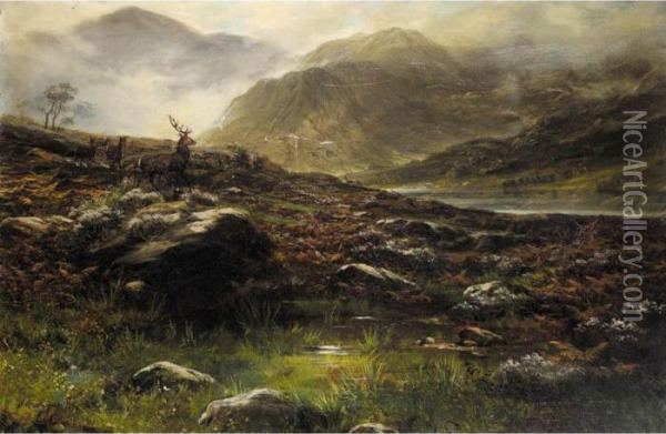 Deer In The Highlands Oil Painting - John Howard Lyon