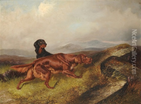 Two Setters In A Moorland Landscape Oil Painting - Colin Graeme