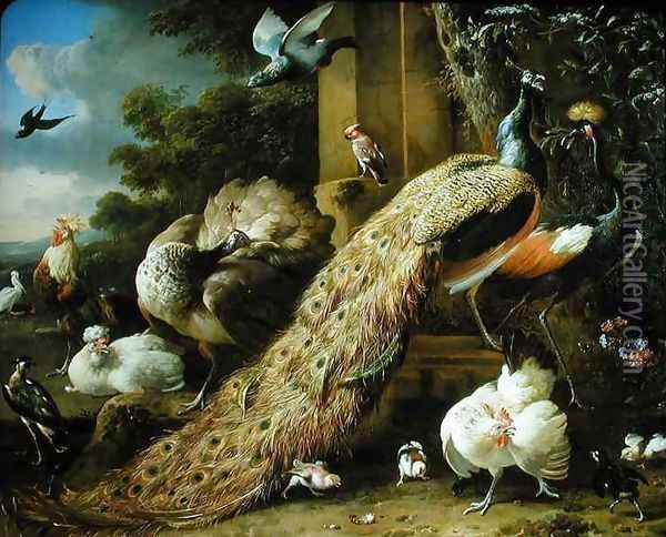 Peacock parakeet pelican crane and poultry Oil Painting - Melchior de Hondecoeter
