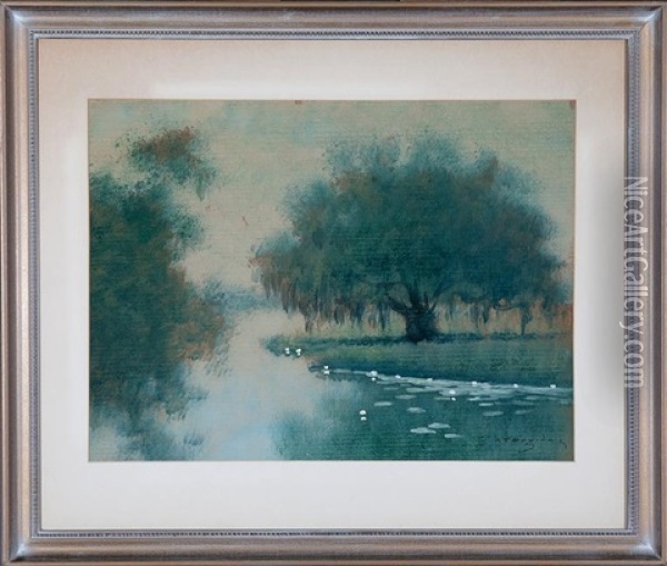 Live Oak Tree And Lily Pads In Louisiana Bayou Oil Painting - Alexander John Drysdale