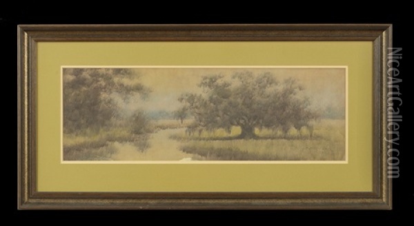 Bayou Landscape With A Live Oak Oil Painting - Alexander John Drysdale