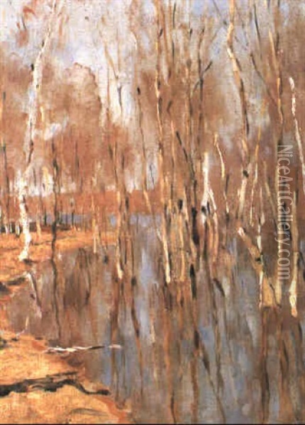 Birches In A Lake (study) Oil Painting - Vasili Dimitrievich Polenov