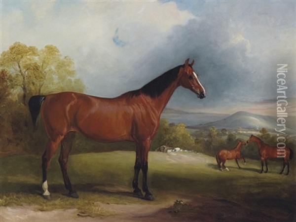 A Bay Hunter, With Other Hunters And Sheep Beyond, In A Landscape Oil Painting - John E. Ferneley