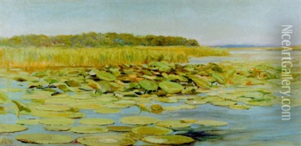 Waterlilies Oil Painting - Charles Abel Corwin