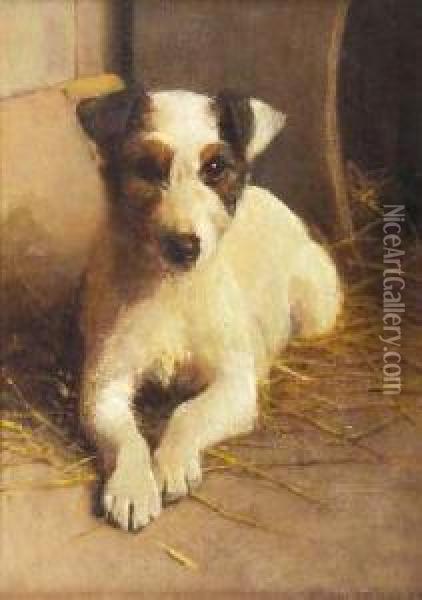 Study Of A Terrier Oil Painting - Samuel Fulton