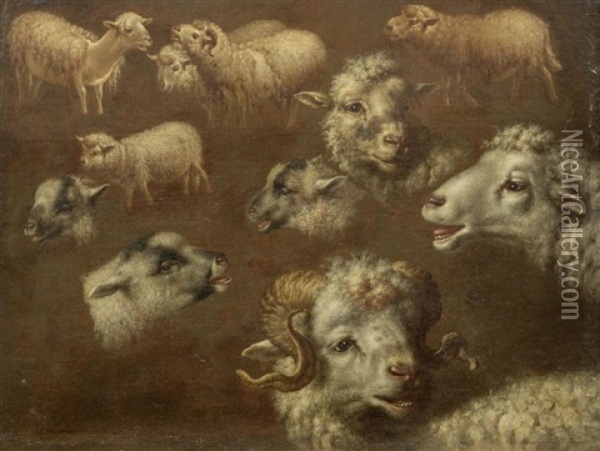 Studies Of Sheep Oil Painting - Francesco Londonio