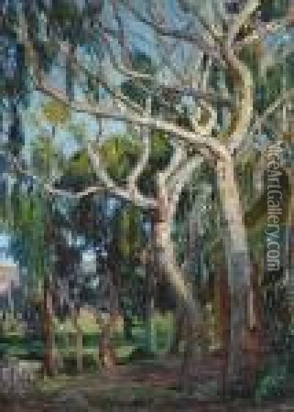 Tangled Branches, Laguna Canyon Oil Painting - Joseph A. Kleitsch