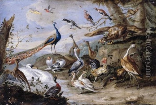 An Eagle, Peacocks, Doves, Herons, A Cockerel, A Hen, A Mallard, A Swan And Other Birds On A Riverbank Oil Painting - Jan van Kessel the Elder