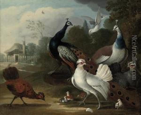 A Peacock, A Hen, Fowl And Other Birds In A Landscape Oil Painting - Marmaduke Cradock