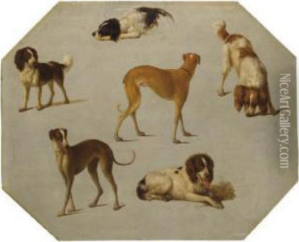 Quatre Epagneuls Et Deux Levriers Oil Painting - Hendrik Stokvish