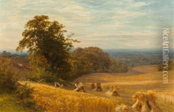 Cornfield At Abingdon, Berks, 1874 Oil Painting - George Vicat Cole