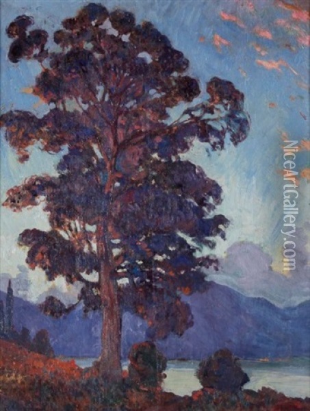 Eucalyptus En Baie D'ajaccio Oil Painting - Raymond Moritz