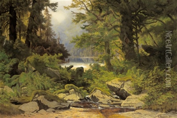 Eine Waldlandschaft Mit Gebirgsbach Oil Painting - Leopold Stephan