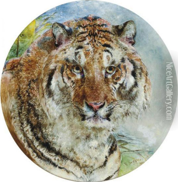 Head Of A Tiger Oil Painting - William Huggins