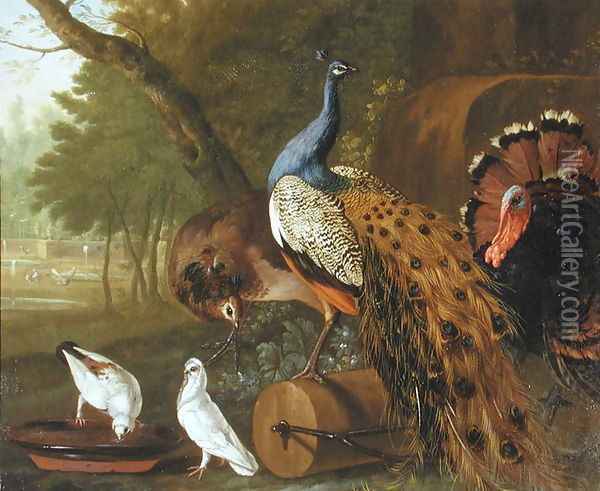 An Assembly of Birds in a Classical Park, 1719 Oil Painting - Pieter Casteels