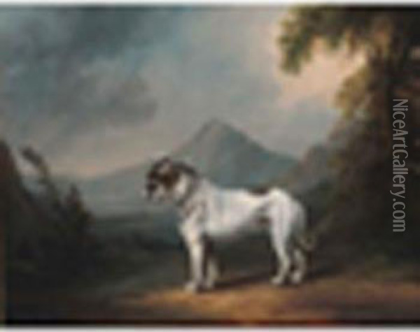 Portrait Of The Bulldog 'ball' In A Landscape Oil Painting - Henry Clowes
