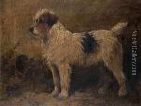 Rough-coated Terrier Oil Painting - John Emms