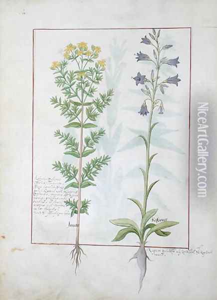Two flowering plants from The Book of Simple Medicines by Mattheaus Platearius d.c.1161 c.1470 Oil Painting - Robinet Testard