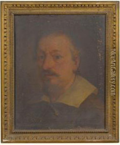 Portrait Of The Artist Francesco Albani (1578-1660), Head Andshoulders Oil Painting - Andrea Sacchi