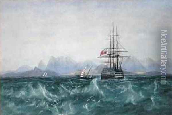 The British Fleet Surrounded by Flying Fish off Ceylon Oil Painting - Andrew Nicholl