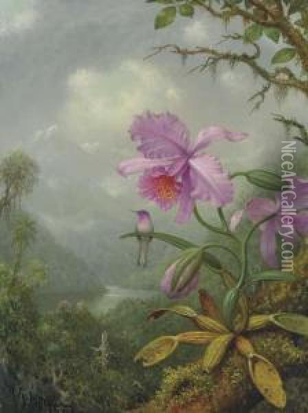 Hummingbird Perched On An Orchid Plant Oil Painting - Martin Johnson Heade
