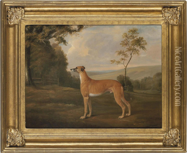 A Greyhound In An Extensive Landscape Oil Painting - Hayter Kinch