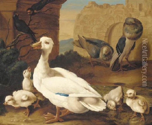 A Duck With Ducklings, Pigeons And Swifts Before A Ruined Wall Oil Painting - Jakob Bogdani
