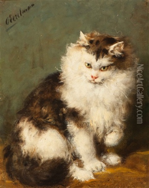 Ragdoll Cat Oil Painting - Otto Eerelman