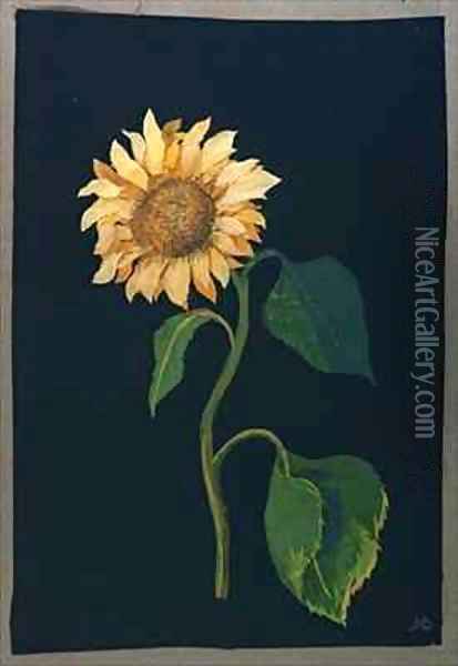 Sunflower Oil Painting - Mary Granville Delany