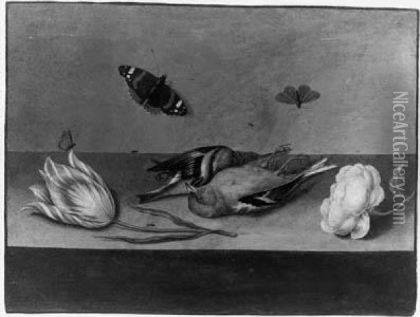 A Still Life With Dead Songbirds, A Rose, A Tulip, Butterflies Andother Insects On A Ledge Oil Painting - Willem De Heer
