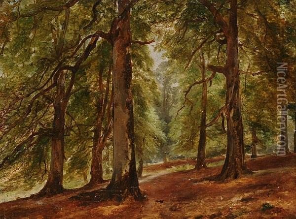 The Beeches, Forest Of Dean, Near Newnham On The Severn Oil Painting - Henry Brittan Willis