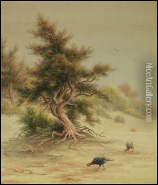 Wild Turkeys Beneath A Tree Oil Painting - Frederick Arthur Verner