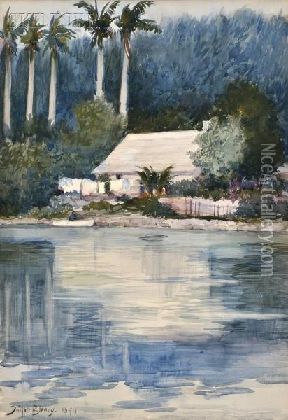 House On The Homosassa River, Florida Oil Painting - Dwight Blaney