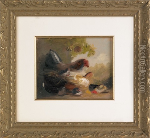 Sketch Of Chickens Oil Painting - Mary Russell Smith