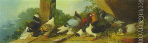 Tauben Unter Einem Dachfirst Oil Painting - Julius Scheuerer