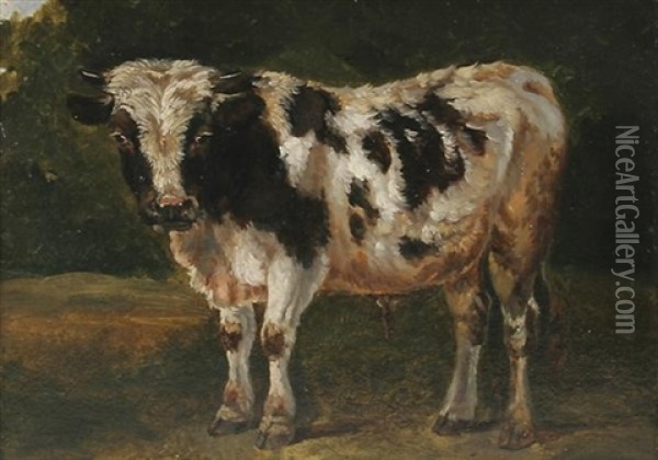 Junges Geflecktes Rind, Nach Links Stehend Oil Painting - Karl Kuntz