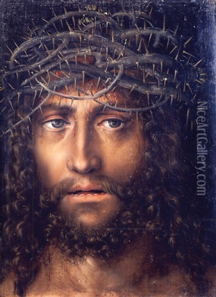 The Head Of Christ Crowned With Thorns Oil Painting - Lucas Cranach the Elder