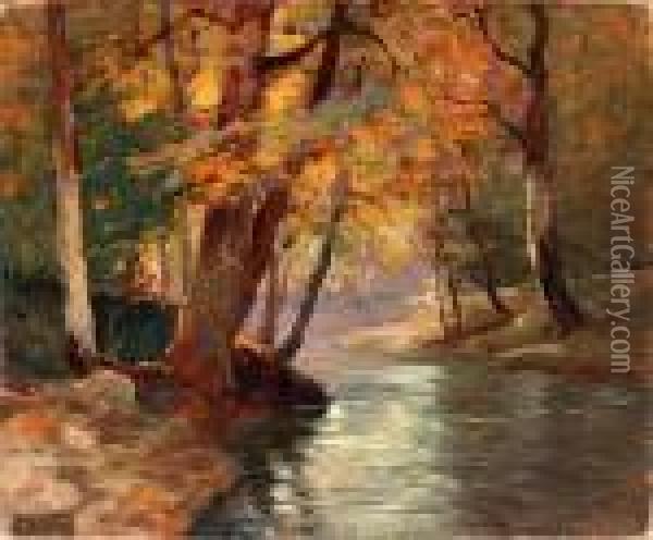 Rzeka W Lesie Oil Painting - Erno Erb
