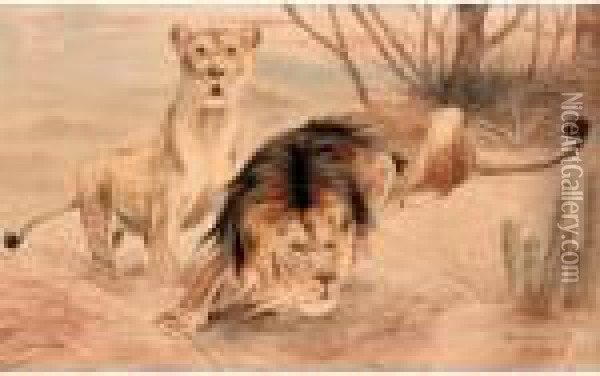 Lions On The Hunt Oil Painting - Wilhelm Kuhnert