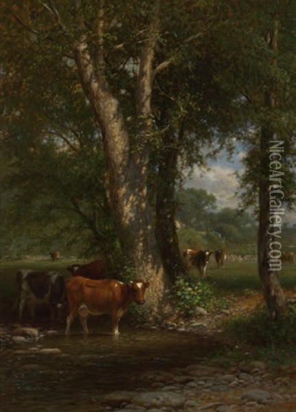 Cattle In A Stream Oil Painting - James McDougal Hart