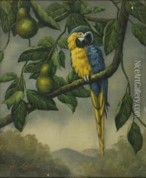 A Blue Parrot. Signed Lower Left M. Larkin Oil Painting - Larkin Goldsmith Mead