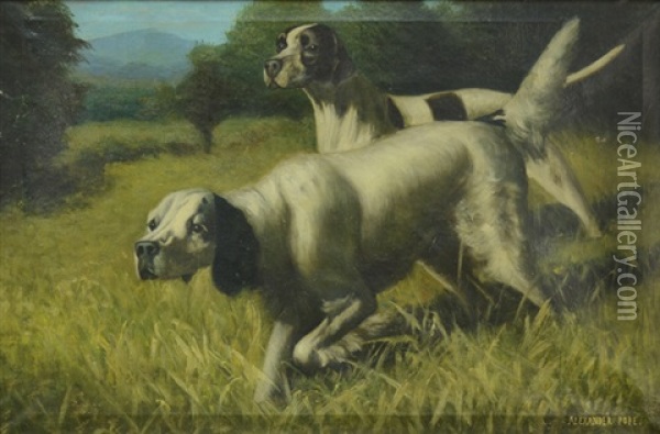 Pair Of Hunting Dogs Oil Painting - Alexander Pope