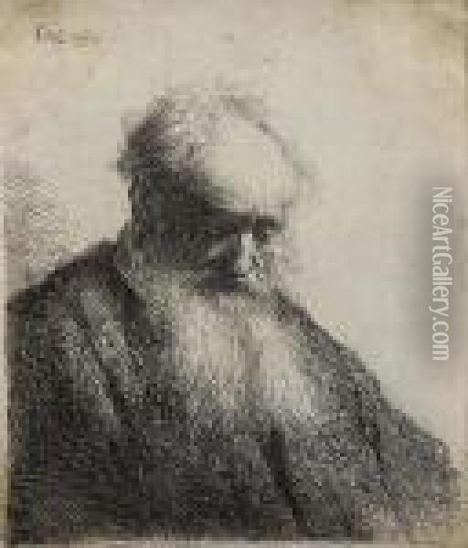 Old Man With Flowing Beard, Bust Oil Painting - Rembrandt Van Rijn
