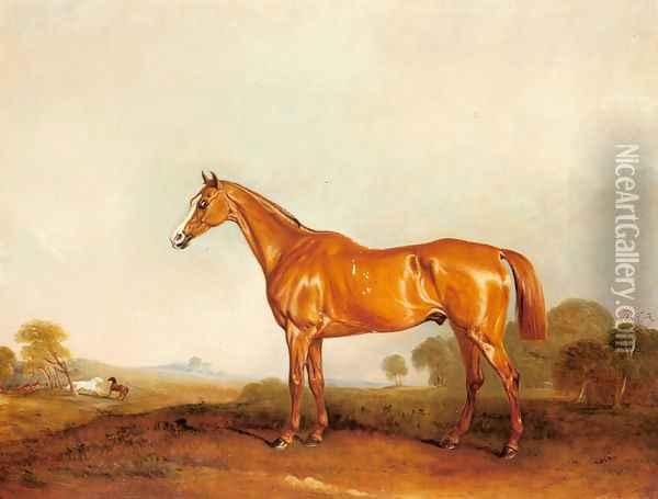 A Golden Chestnut Hunter in a Landscape Oil Painting - John Snr Ferneley