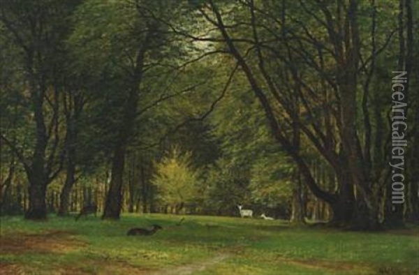 Scene In Dyrehaven (deer Park) Oil Painting - Georg Emil Libert